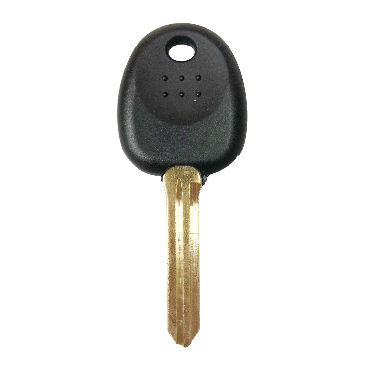 Transponder Chipped KEY Master 46 CHIP For Hyundai Elantra SantaFe SKU: CK-G13