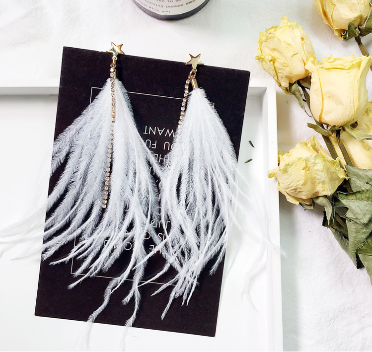 Long fringed feather pentagram sparkling earrings wedding Bridesmaids